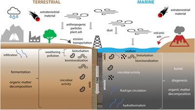 Editorial: Advances in Magnetism of Soils and Sediments